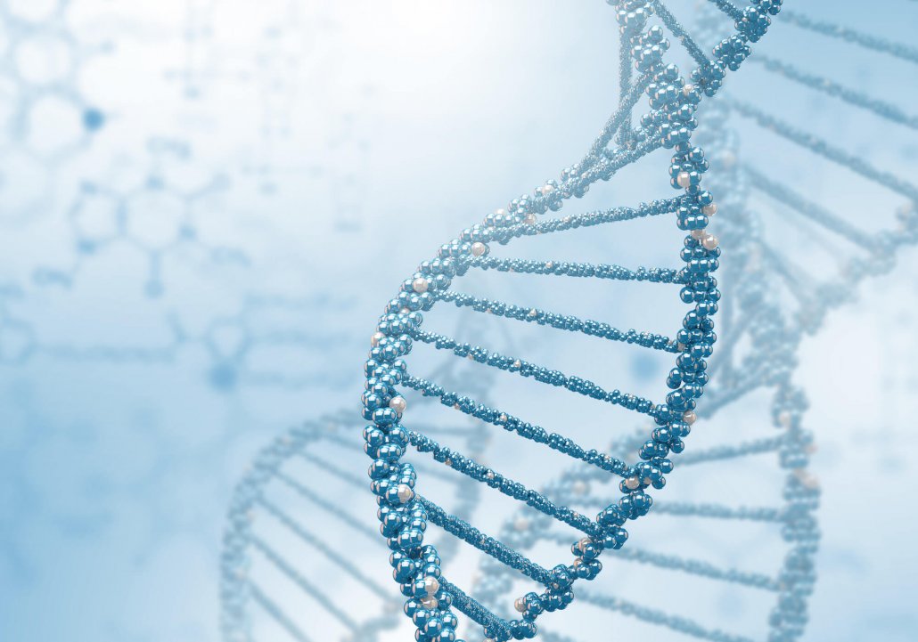 244569-dna-da-marca-entenda-a-sua-importancia-e-saiba-como-identificala-1030x721.jpg